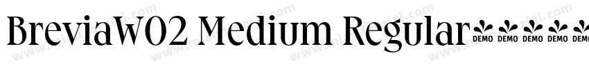 BreviaW02 Medium Regular字体转换